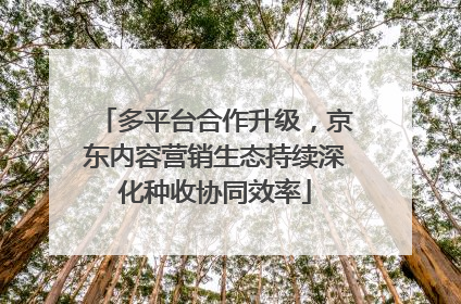 多平台合作升级，京东内容营销生态持续深化种收协同效率