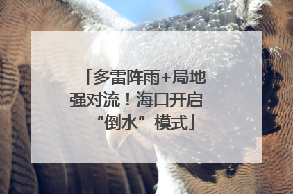 多雷阵雨+局地强对流！海口开启“倒水”模式