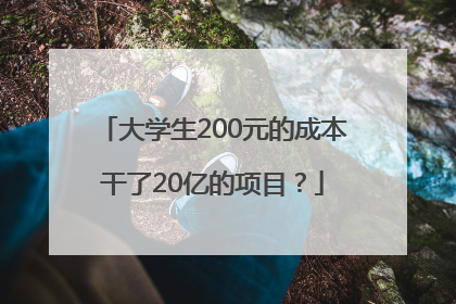 大学生200元的成本干了20亿的项目？
