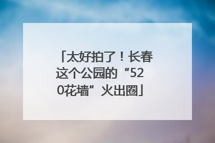 太好拍了！长春这个公园的“520花墙”火出圈