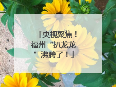 央视聚焦！福州“扒龙龙”沸腾了！