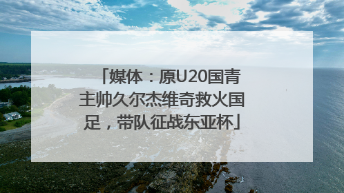 媒体：原U20国青主帅久尔杰维奇救火国足，带队征战东亚杯