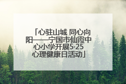 心驻山城 同心向阳——宁国市仙霞中心小学开展5·25心理健康日活动
