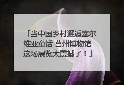 当中国乡村邂逅塞尔维亚童话 莒州博物馆这场展览太震撼了！