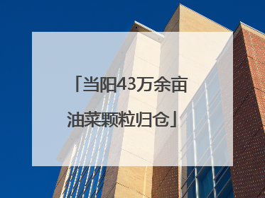 当阳43万余亩油菜颗粒归仓