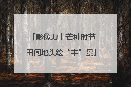 影像力丨芒种时节 田间地头绘“丰”景