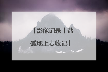 影像记录丨盐碱地上麦收记