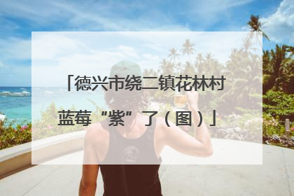 德兴市绕二镇花林村蓝莓“紫”了（图）