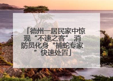 德州一居民家中惊现“不速之客” 消防员化身“捕蛇专家”快速处置