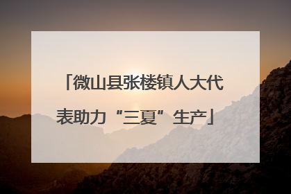 微山县张楼镇人大代表助力“三夏”生产