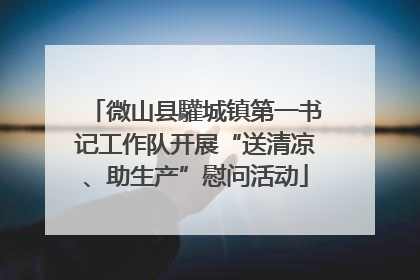 微山县驩城镇第一书记工作队开展“送清凉、助生产”慰问活动