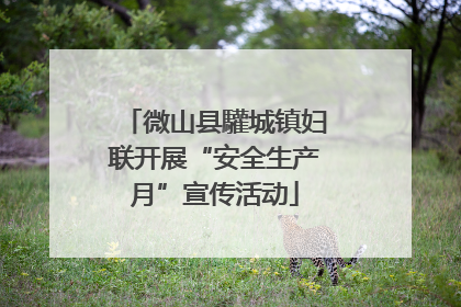 微山县驩城镇妇联开展“安全生产月”宣传活动