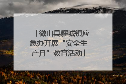 微山县驩城镇应急办开展“安全生产月”教育活动