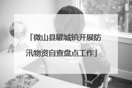 微山县驩城镇开展防汛物资自查盘点工作