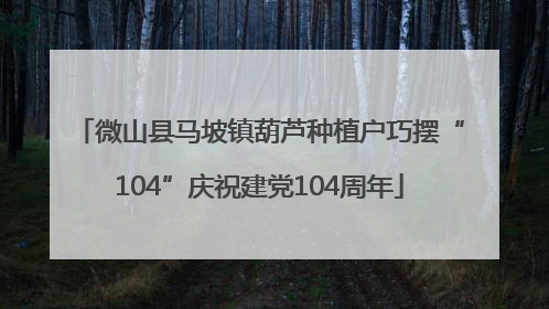 微山县马坡镇葫芦种植户巧摆“104”庆祝建党104周年