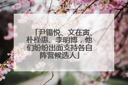 尹锡悦、文在寅、朴槿惠、李明博，他们纷纷出面支持各自阵营候选人
