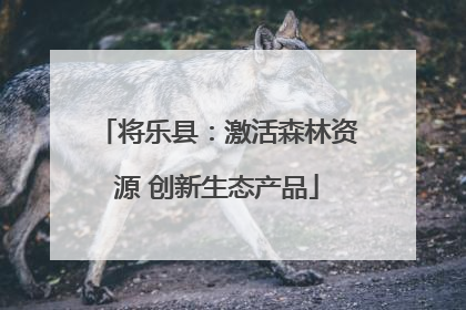 将乐县：激活森林资源 创新生态产品