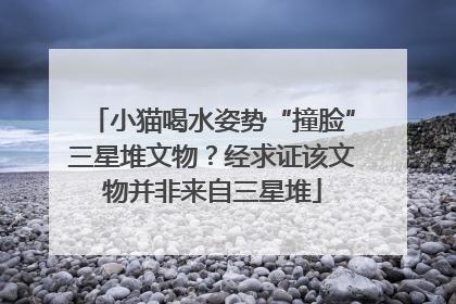 小猫喝水姿势“撞脸”三星堆文物？经求证该文物并非来自三星堆