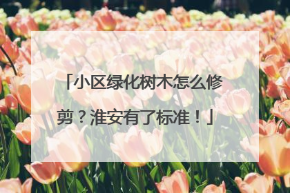 小区绿化树木怎么修剪？淮安有了标准！
