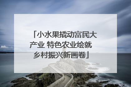 小水果撬动富民大产业 特色农业绘就乡村振兴新画卷