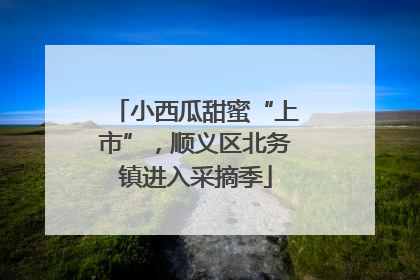 小西瓜甜蜜“上市”，顺义区北务镇进入采摘季