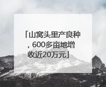 山窝头里产良种，600多亩地增收近20万元