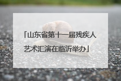 山东省第十一届残疾人艺术汇演在临沂举办
