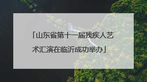 山东省第十一届残疾人艺术汇演在临沂成功举办