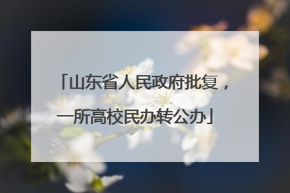 山东省人民政府批复，一所高校民办转公办