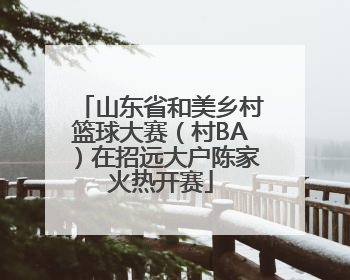 山东省和美乡村篮球大赛（村BA）在招远大户陈家火热开赛