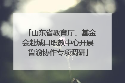 山东省教育厅、基金会赴城口职教中心开展鲁渝协作专项调研