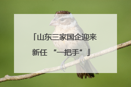 山东三家国企迎来新任 “一把手”