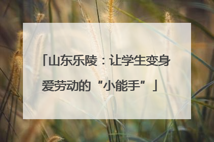 山东乐陵：让学生变身爱劳动的“小能手”