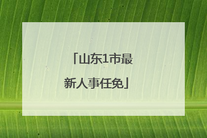 山东1市最新人事任免