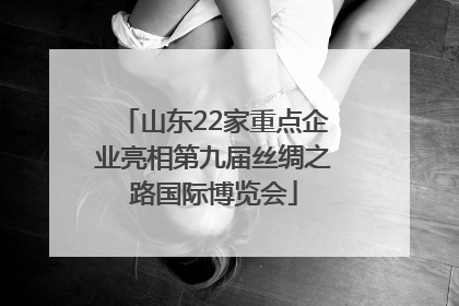 山东22家重点企业亮相第九届丝绸之路国际博览会