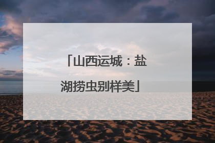 山西运城：盐湖捞虫别样美