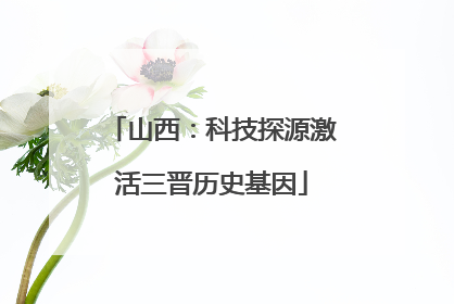 山西：科技探源激活三晋历史基因