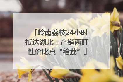 岭南荔枝24小时抵达湖北，产销两旺性价比真“给荔”