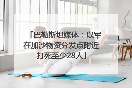 巴勒斯坦媒体：以军在加沙物资分发点附近打死至少28人
