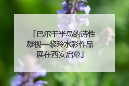 巴尔干半岛的诗性凝视—黎玲水彩作品展在西安启幕