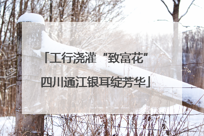 工行浇灌“致富花” 四川通江银耳绽芳华