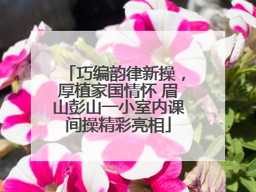巧编韵律新操，厚植家国情怀 眉山彭山一小室内课间操精彩亮相
