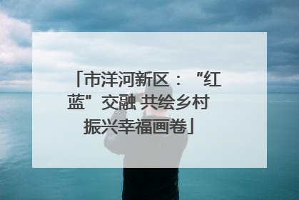 市洋河新区：“红蓝”交融 共绘乡村振兴幸福画卷