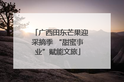 广西田东芒果迎采摘季 “甜蜜事业”赋能文旅