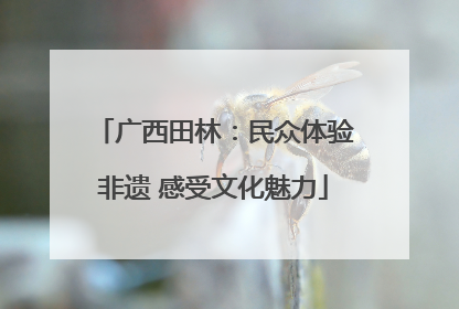 广西田林：民众体验非遗 感受文化魅力