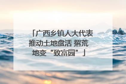 广西乡镇人大代表推动土地盘活 撂荒地变“致富园”