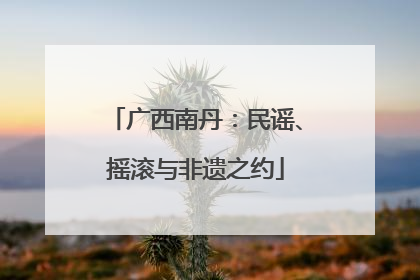 广西南丹：民谣、摇滚与非遗之约