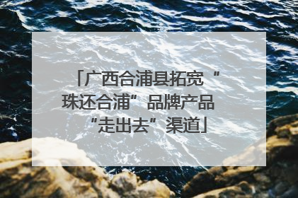 广西合浦县拓宽“珠还合浦”品牌产品“走出去”渠道