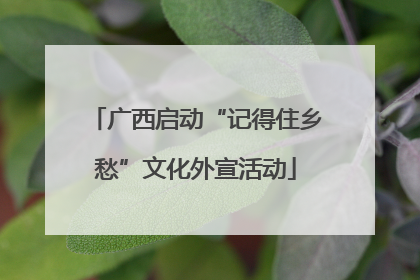 广西启动“记得住乡愁”文化外宣活动