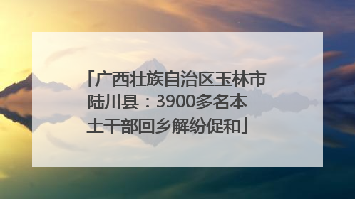 广西壮族自治区玉林市陆川县：3900多名本土干部回乡解纷促和